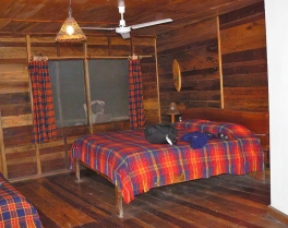 Luxury accommodation at 'Amazon Lite'