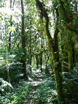 San Isidro trails